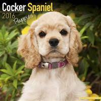 Cocker Spaniel Puppies Calendar 2016