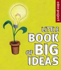 Little Book of Big Ideas