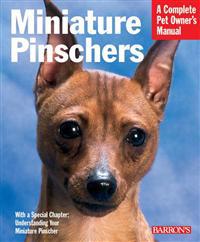 Miniature Pinschers