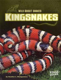 Kingsnakes
