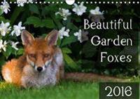 Beautiful Garden Foxes 2016 (Wall Calendar 2016 DIN A4 Landscape)