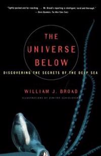 The Universe Below