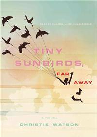 Tiny Sunbirds, Far Away