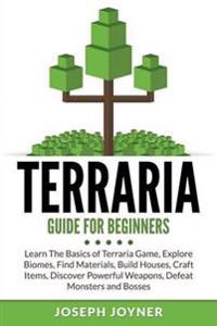 Terraria Guide for Beginners