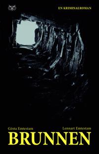 Brunnen : En kriminalroman