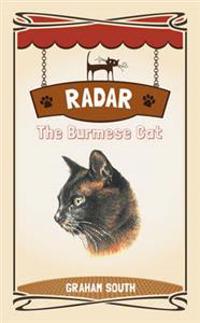 RADAR THE BURMESE CAT