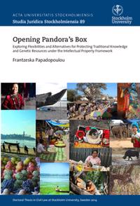 Opening Pandora's box : Exploring flexibilities and alternatives for protecting traditional knowledge and genetic resources under the intellectual property framework