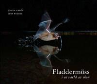 Fladdermöss - i en värld av ekon
