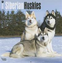 Siberian Huskies 2014 Wall Calendar