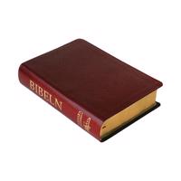 Folkbibeln 2015 Mellanformat Konstskinn röd