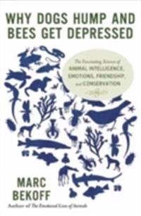 Why Dogs Hump and Bees Get Depressed