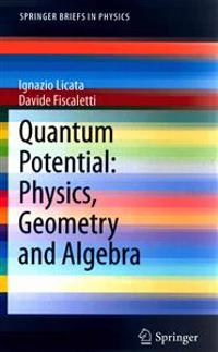Quantum Potential: Physics, Geometry and Algebra