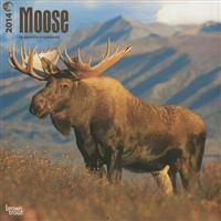 Moose 2014 Wall Calendar