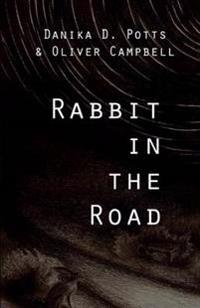 Rabbit in the Road