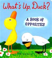 What's Up, Duck?: A Book of Opposites