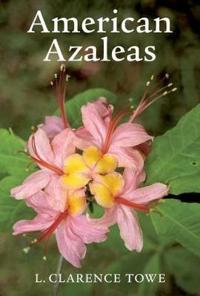 American Azaleas