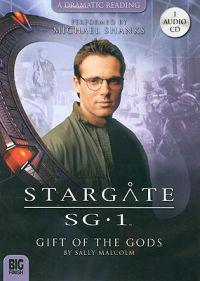 Constructive Social Work: Towards a New Practice