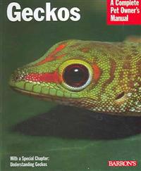 Geckos