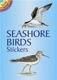 Seashore Birds