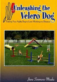 Unleashing the Velcro Dog