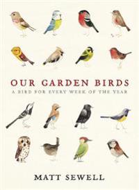 Marketing Plan Handbook