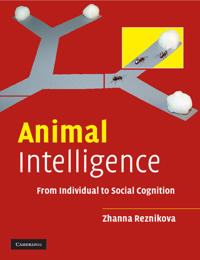 Animal Intelligence