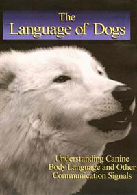From Tongue to Tail: The Integrated Movement of the Dog