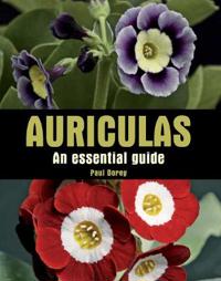 Auriculas