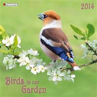 Birds in Your Garden 2014