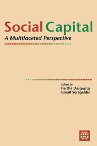 Social Capital