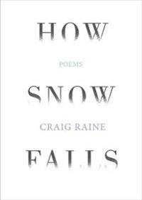 How Snow Falls
