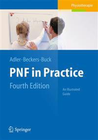 PNFin Practice