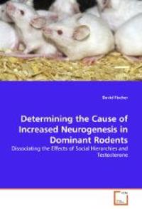 Determining the Cause of Increased Neurogenesis in Dominant Rodents