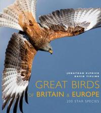 Great Birds of Britain and Europe