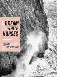 Dream of White Horses