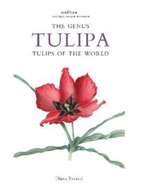 The Genus Tulipa