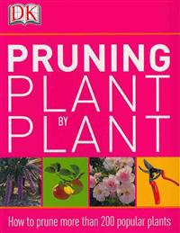 Pruning Plant by Plant