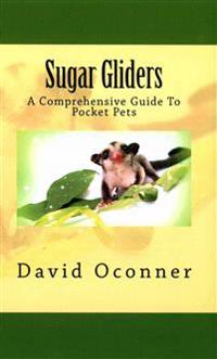 Sugar Gliders: A Comprehensive Guide to Pocket Pets