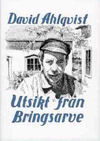 Utsikt från Bringsarve