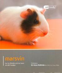 Marsvin : hur du förstår och tar hand om ditt husdjur