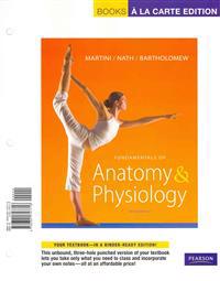 Developing Democracy