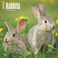Rabbits 2014 Wall Calendar