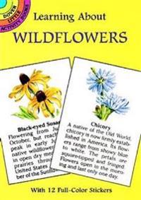 Learning About Wildflowers