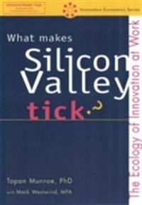 What Makes Silicon Valley Tick?