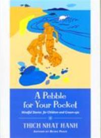 A Pebble for Your Pocket