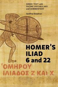 Homer's Iliad 6 and 22: Greek Text with Facing Vocabulary and Commentary