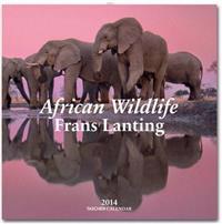 African Wildlife 2014 Calendar