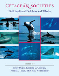 Cetacean Societies