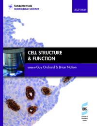 Cell Structure & Function