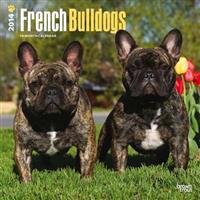 French Bulldogs 2014 Wall Calendar